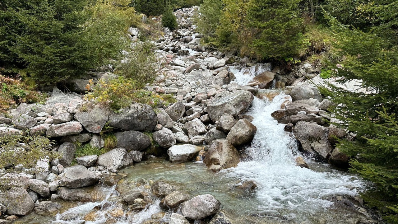 Photo of Others in Sedrun