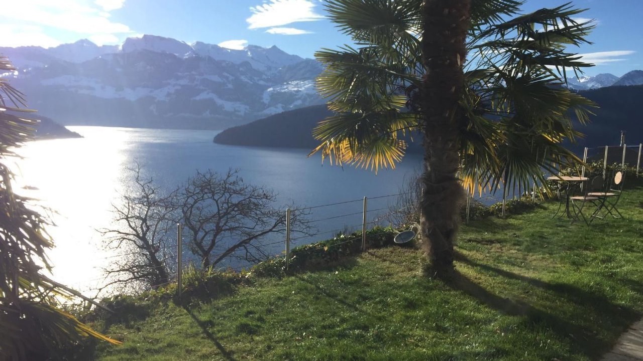 Photo of Outdoor in Weggis