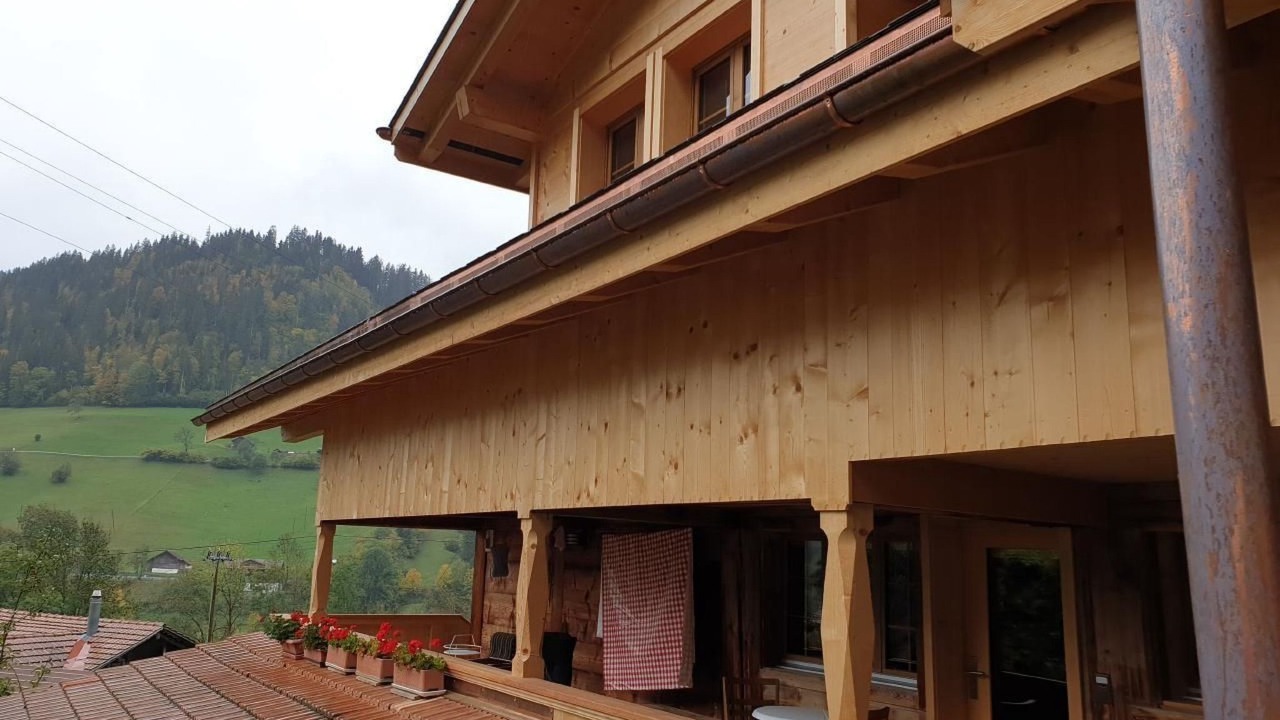 Photo of Others in Zweisimmen