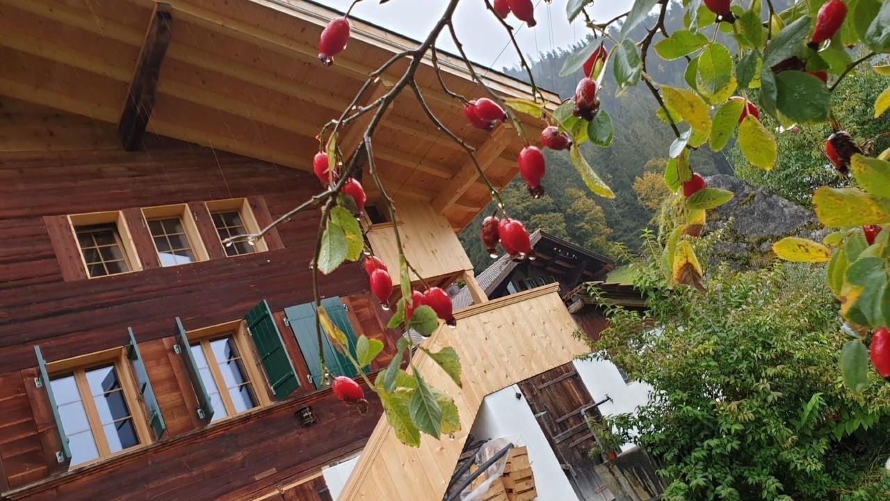 Photo of Others in Zweisimmen