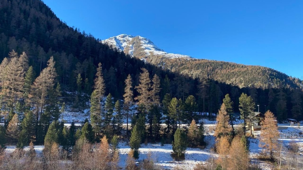 Photo of Others in Pontresina