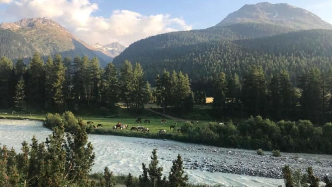 Photo of Others in Pontresina