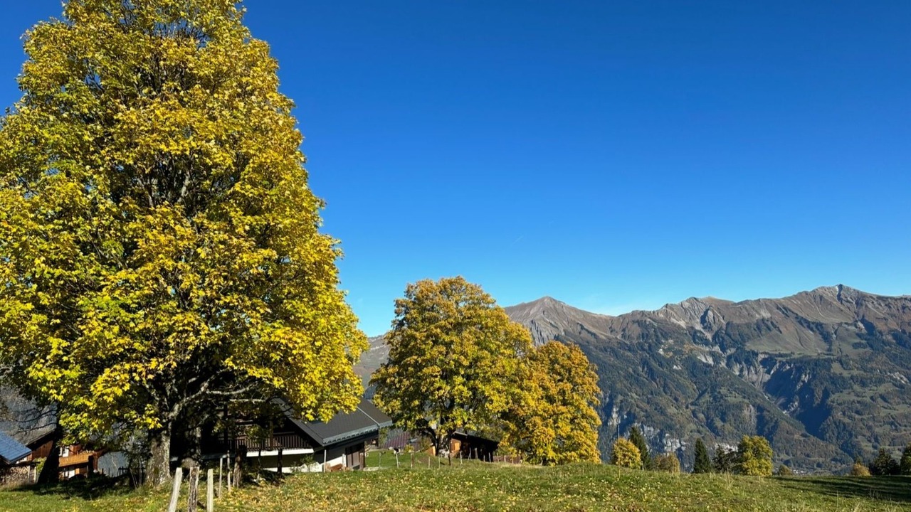 Photo of Others in Axalp