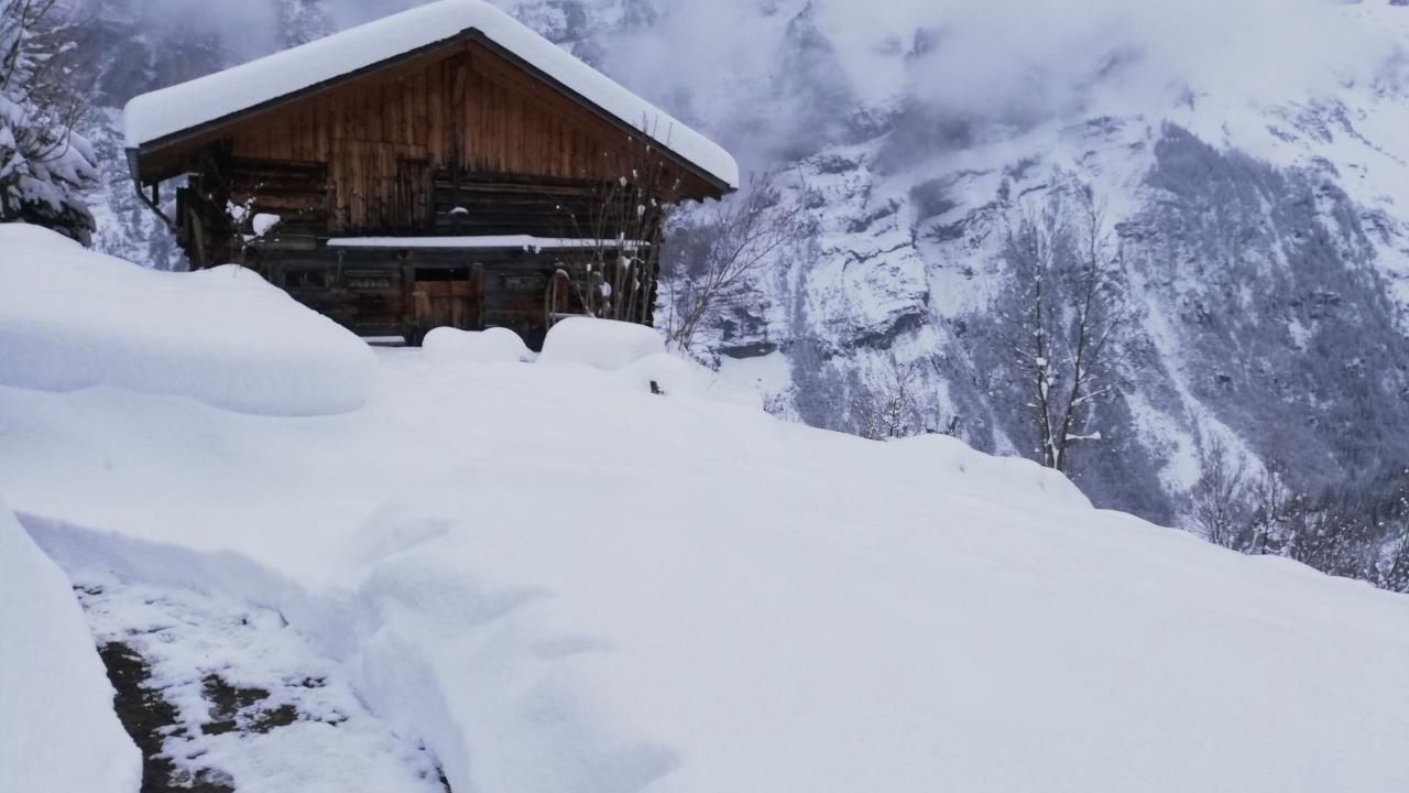 Photo of Others in Gimmelwald