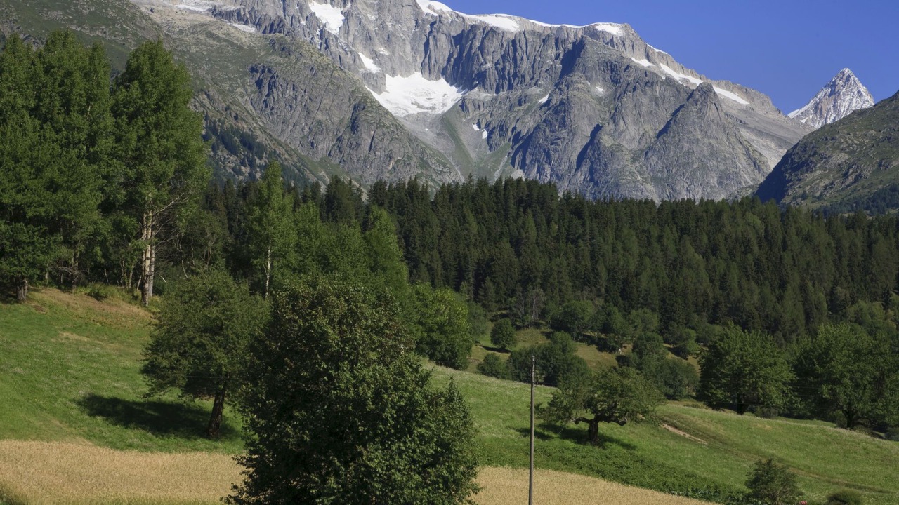 Photo of Others in Ernen