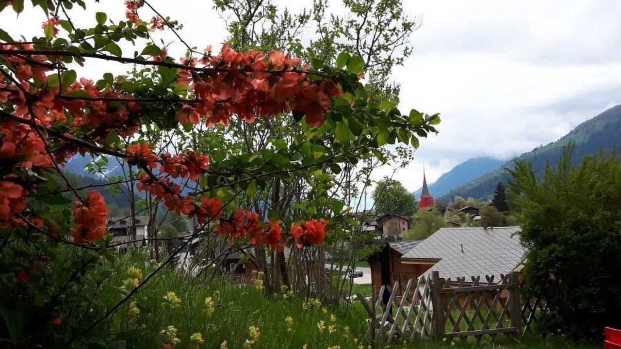 Photo of Outdoor in Ernen