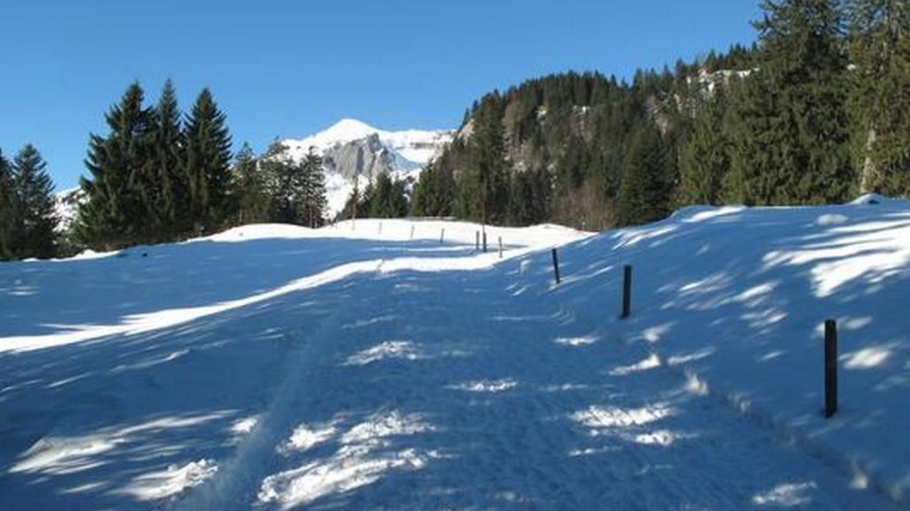 Photo of Others in Wildhaus-Alt St. Johann