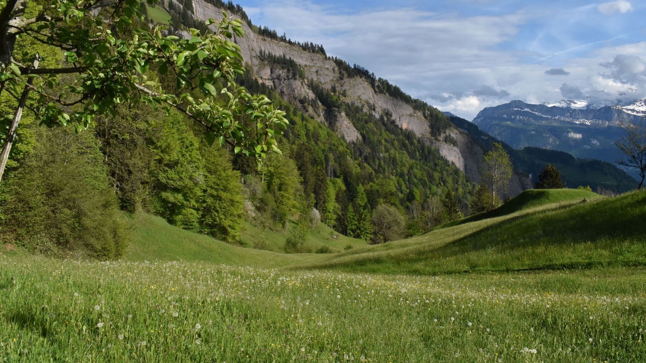 Photo of Others in Vitznau