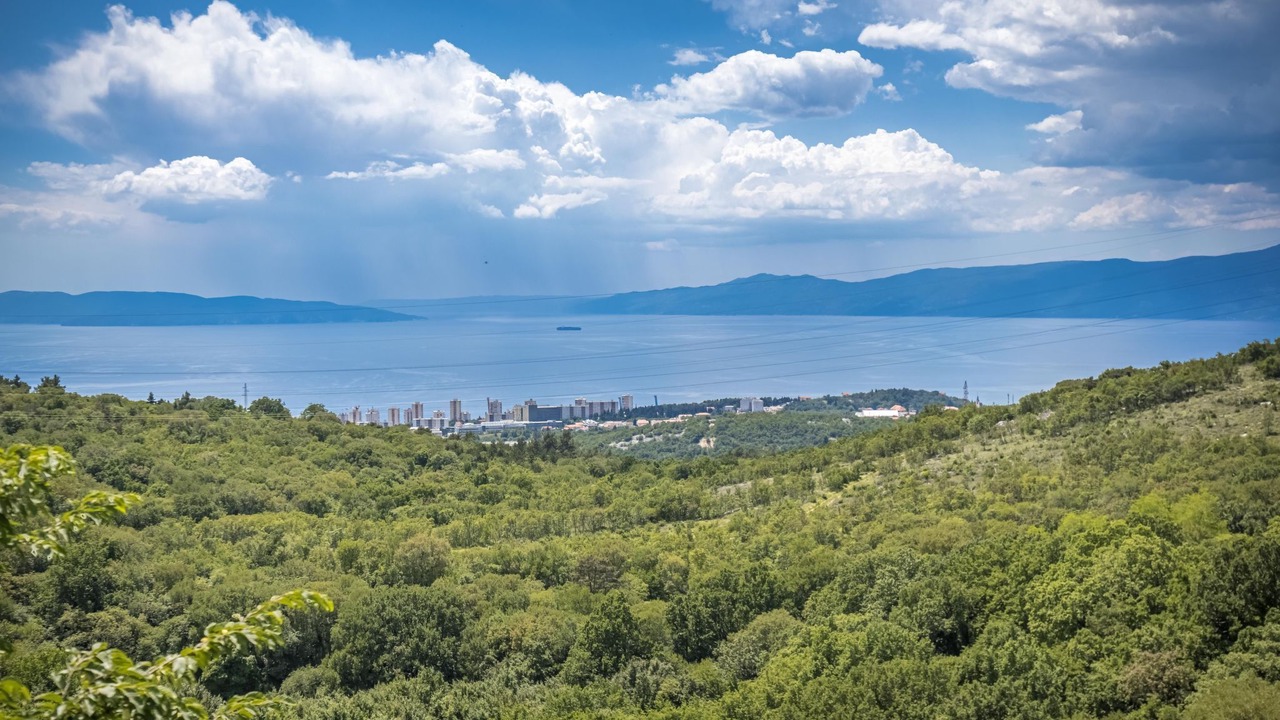 Photo of Others in Buzdohanj