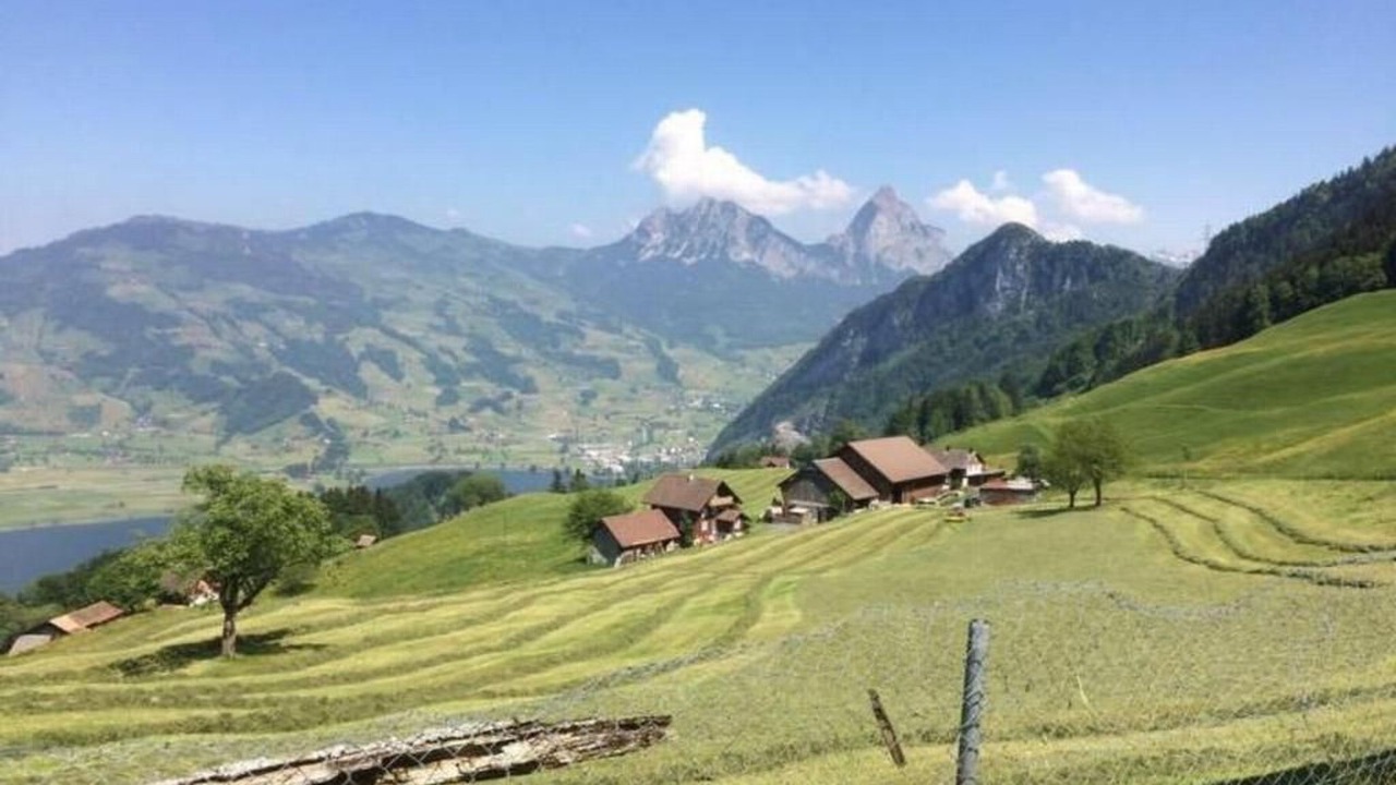 Photo of Others in Lauerz