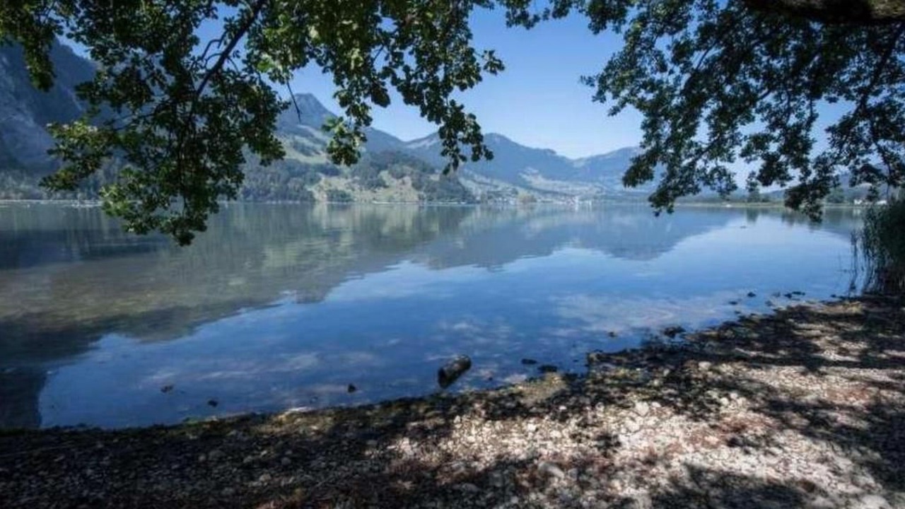 Photo of Others in Lauerz
