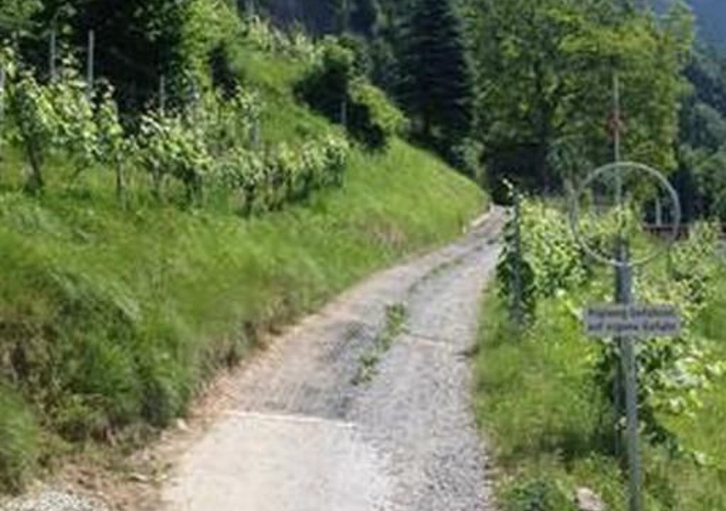 Photo of Others in Vitznau