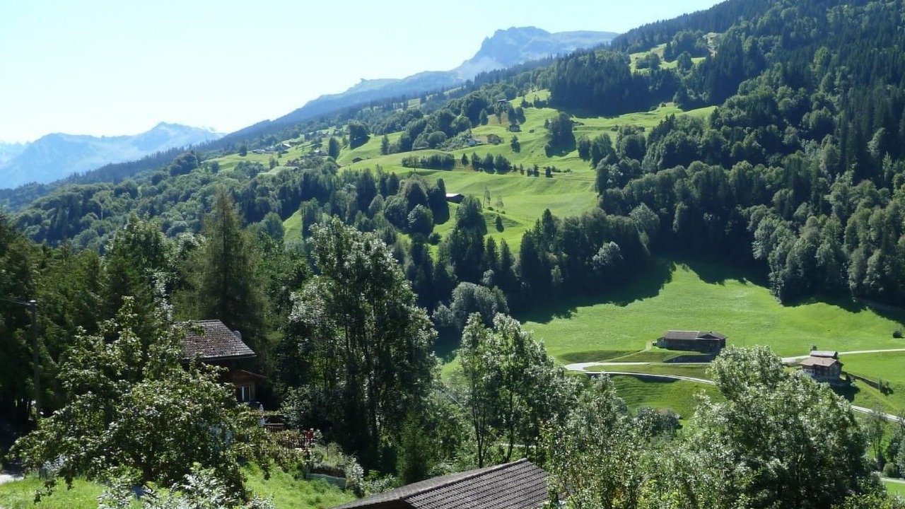 Photo of Others in Kublis