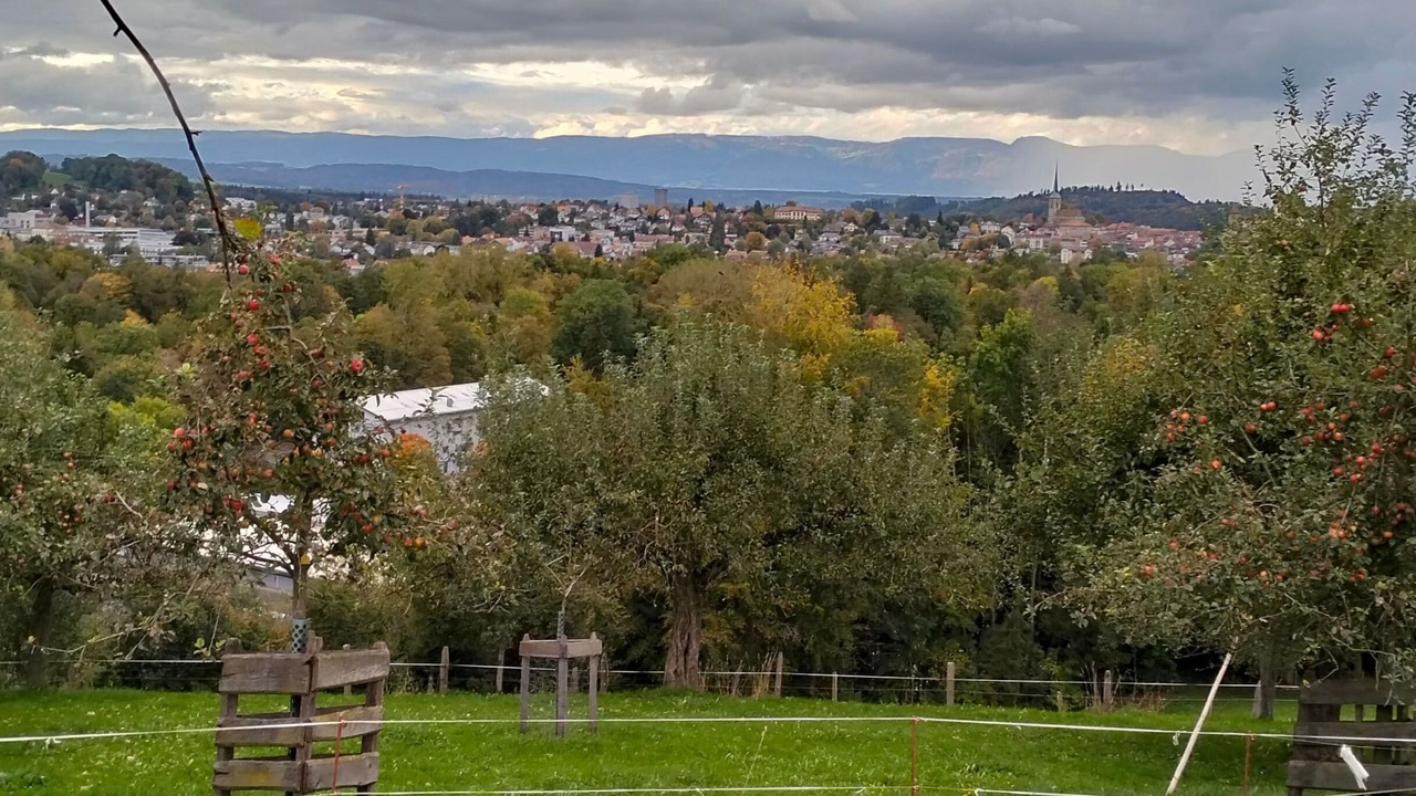 Photo of Others in Burgdorf