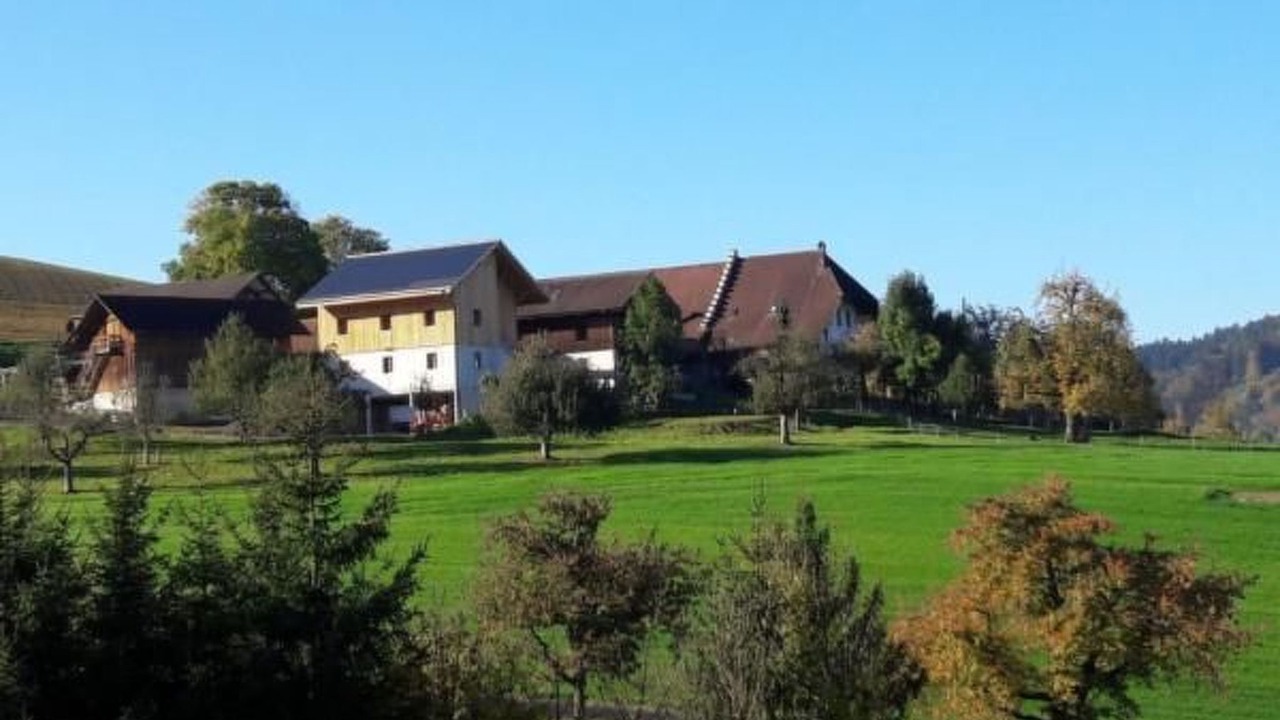 Photo of Others in Burgdorf