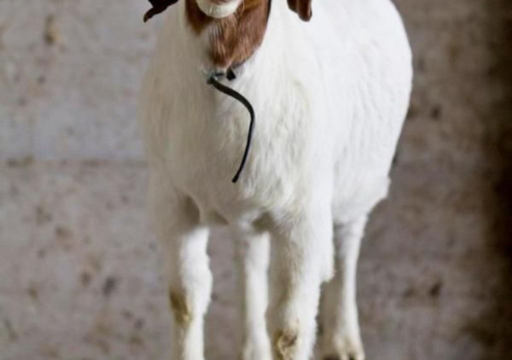 Photo of Others in Burgdorf
