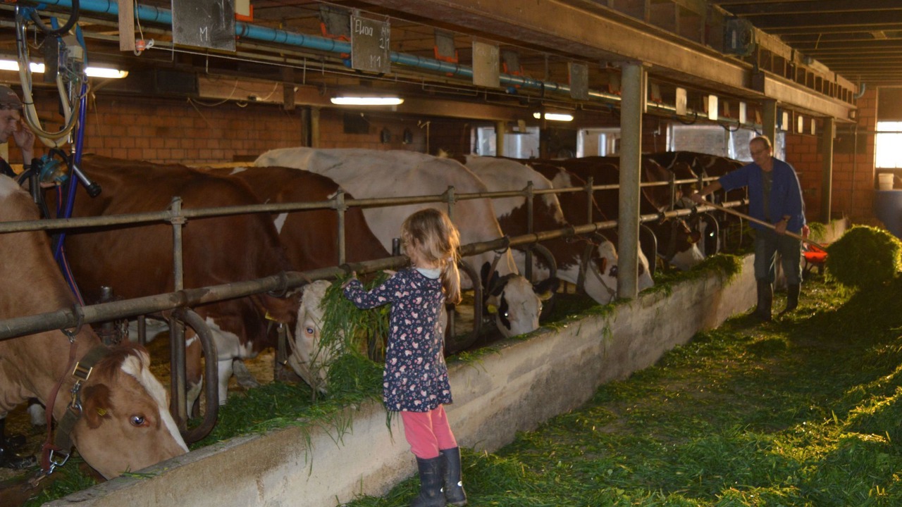 Photo of Others in Burgdorf
