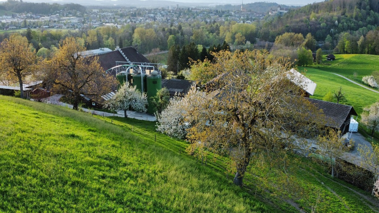 Photo of Others in Burgdorf