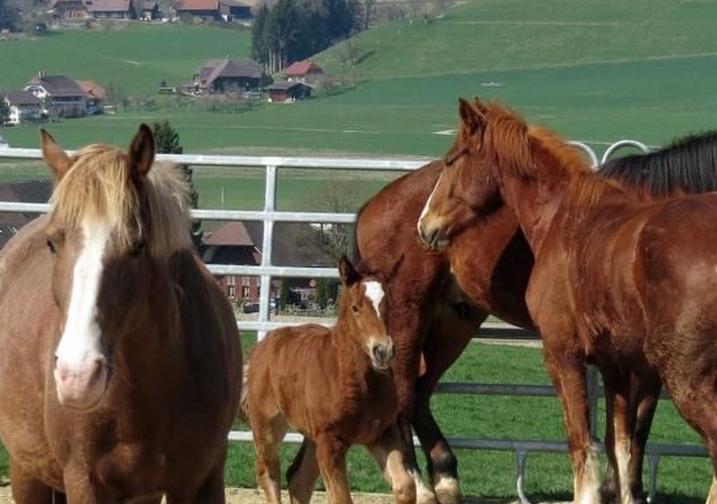 Photo of Others in Hausernmoos