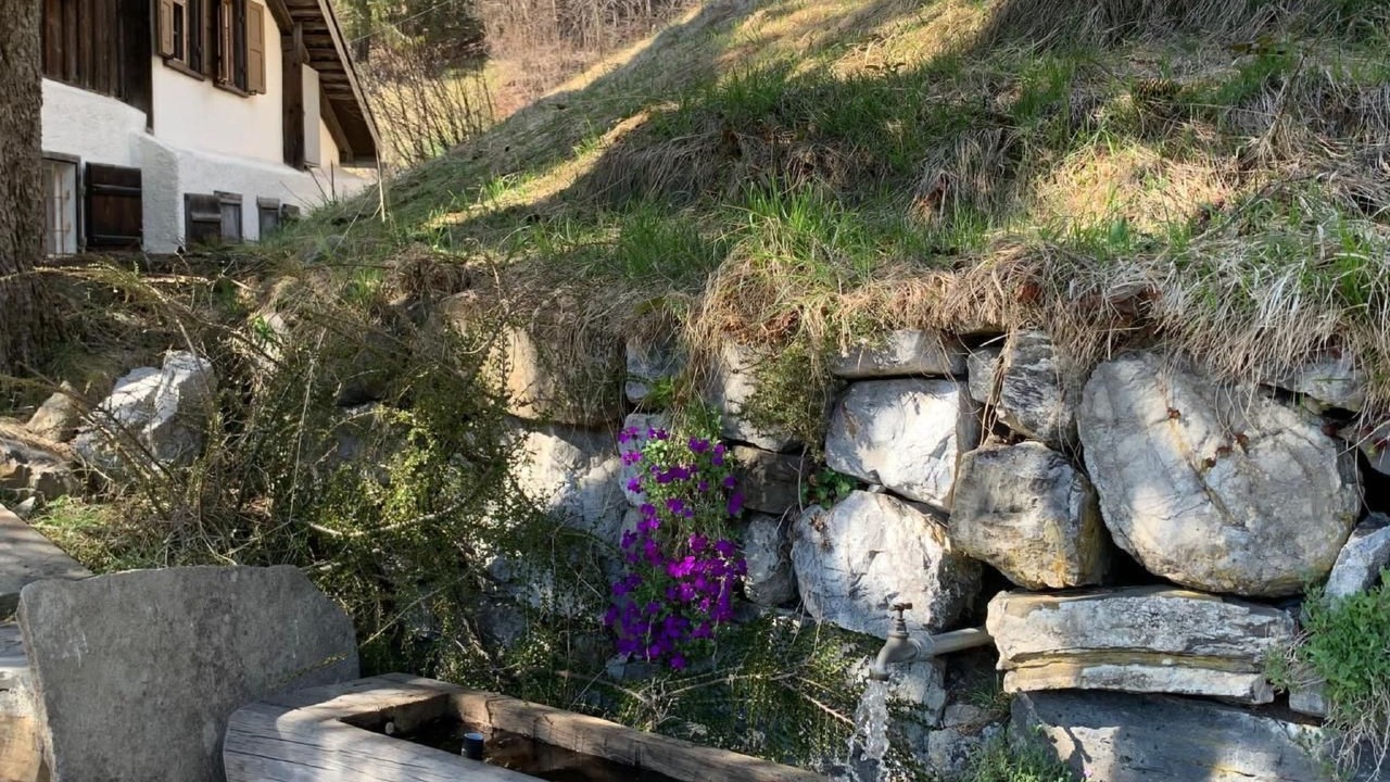 Photo of Others in Saas im Prattigau