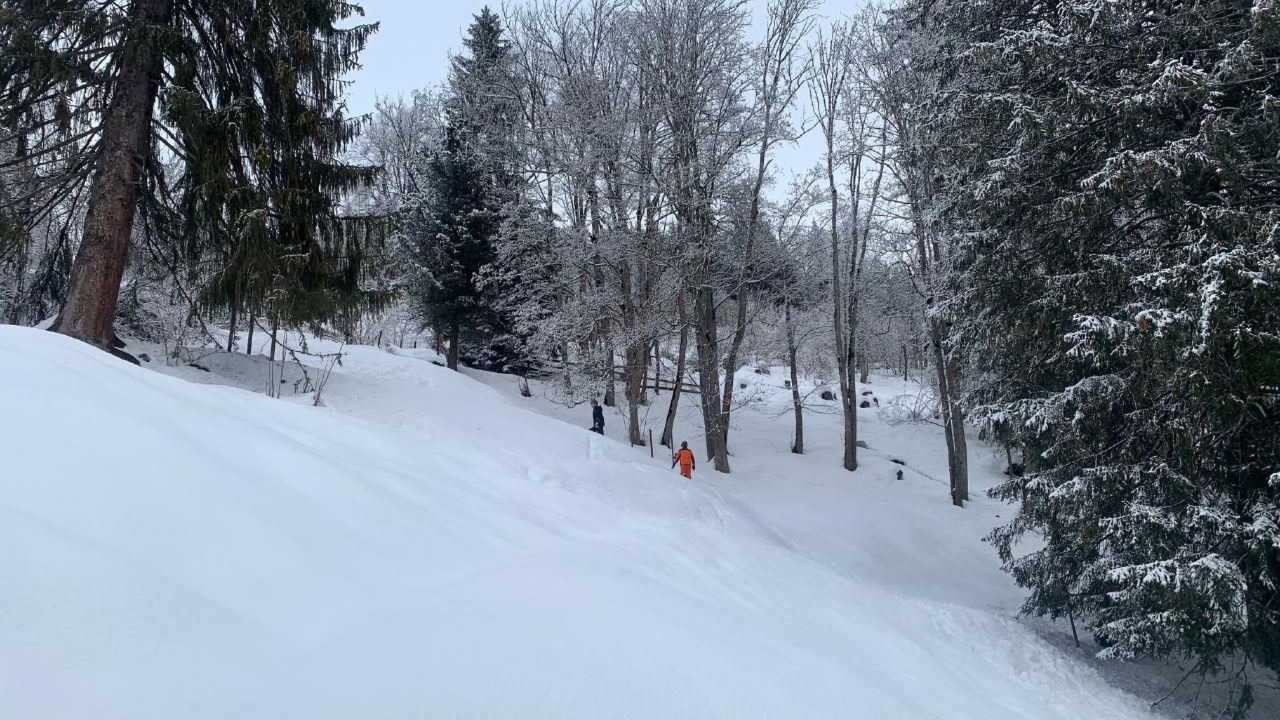 Photo of Others in Saas im Prattigau