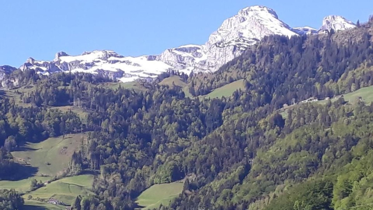 Photo of Others in Attinghausen