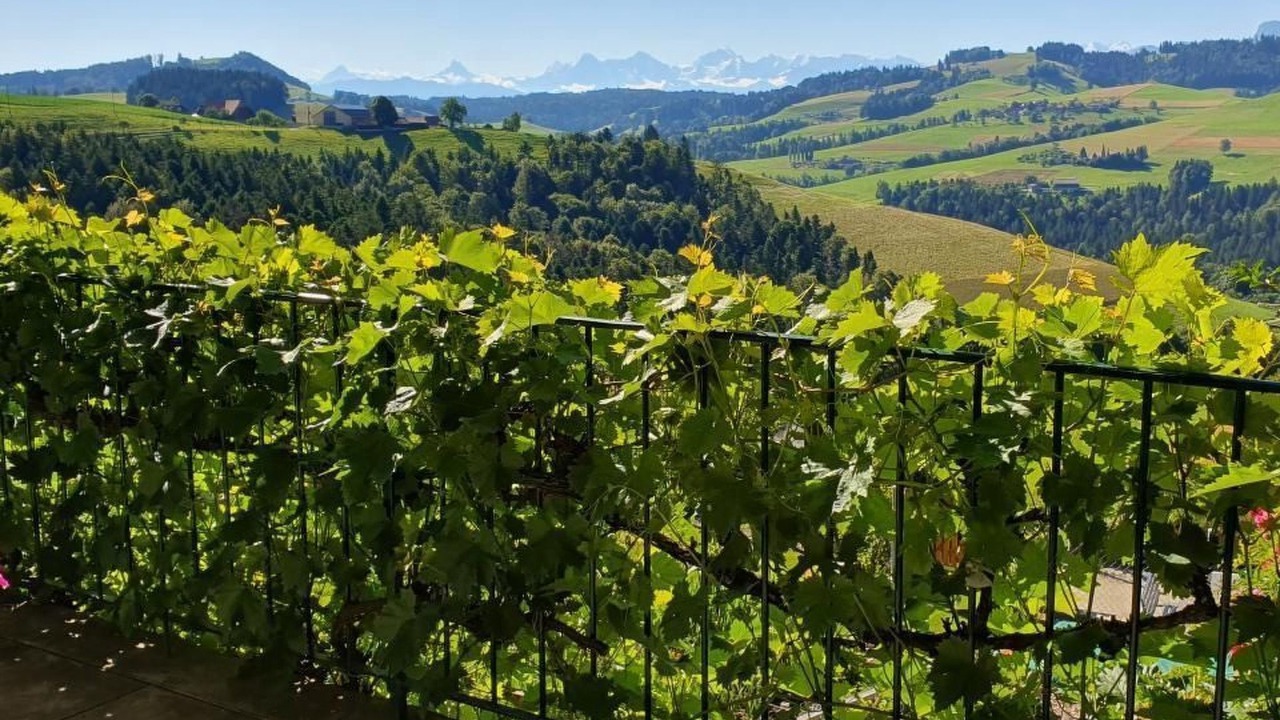 Photo of Outdoor in Oberbalm