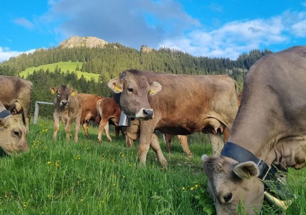 Photo of Others in Schwarzenberg
