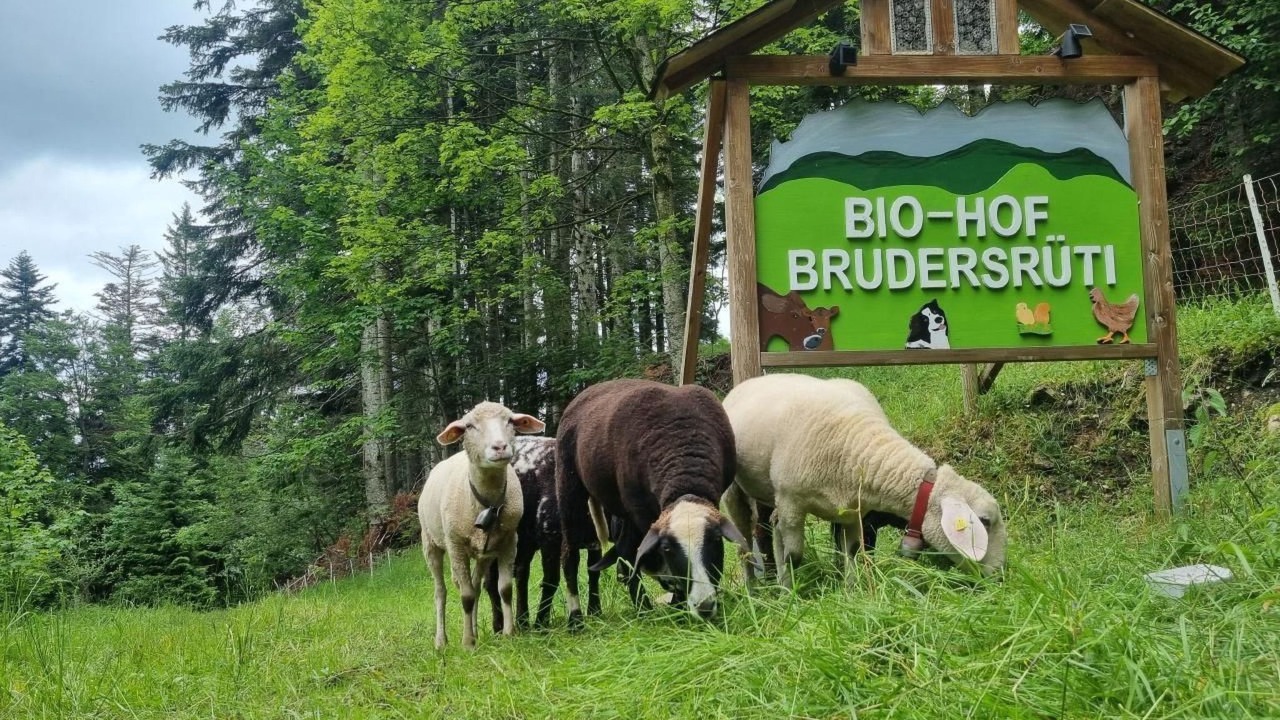 Photo of Others in Schwarzenberg
