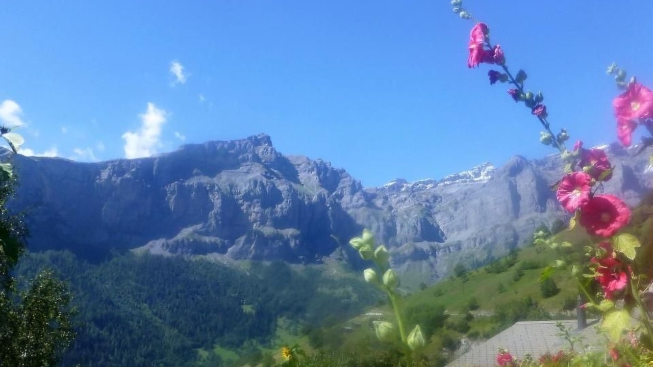 Photo of Others in Albinen