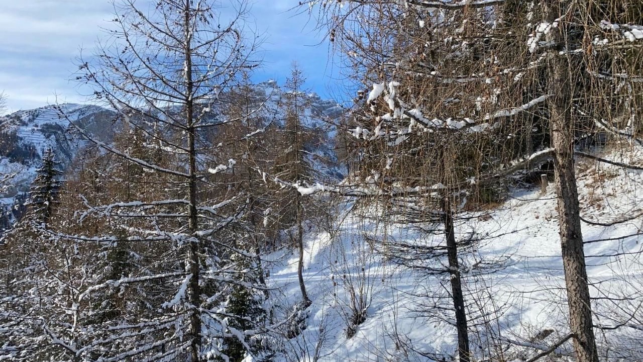 Photo of Others in Albinen