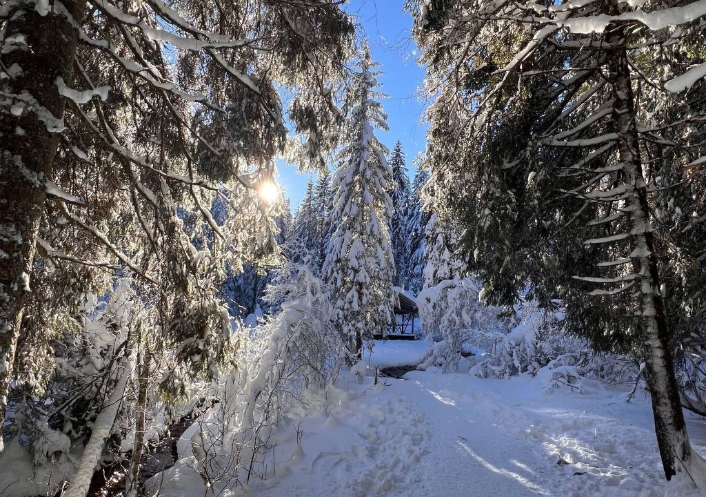 Photo of Others in Morgins