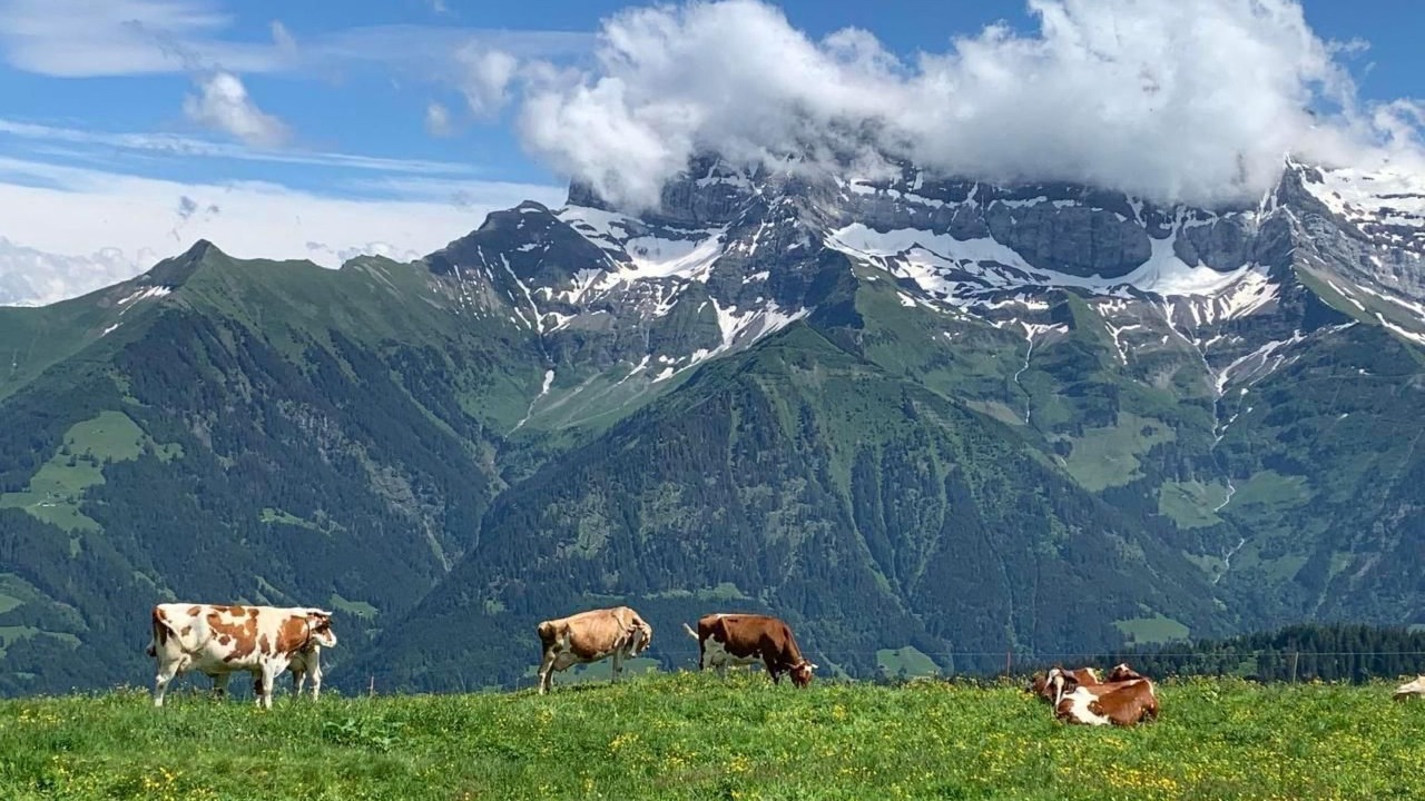 Photo of Others in Morgins
