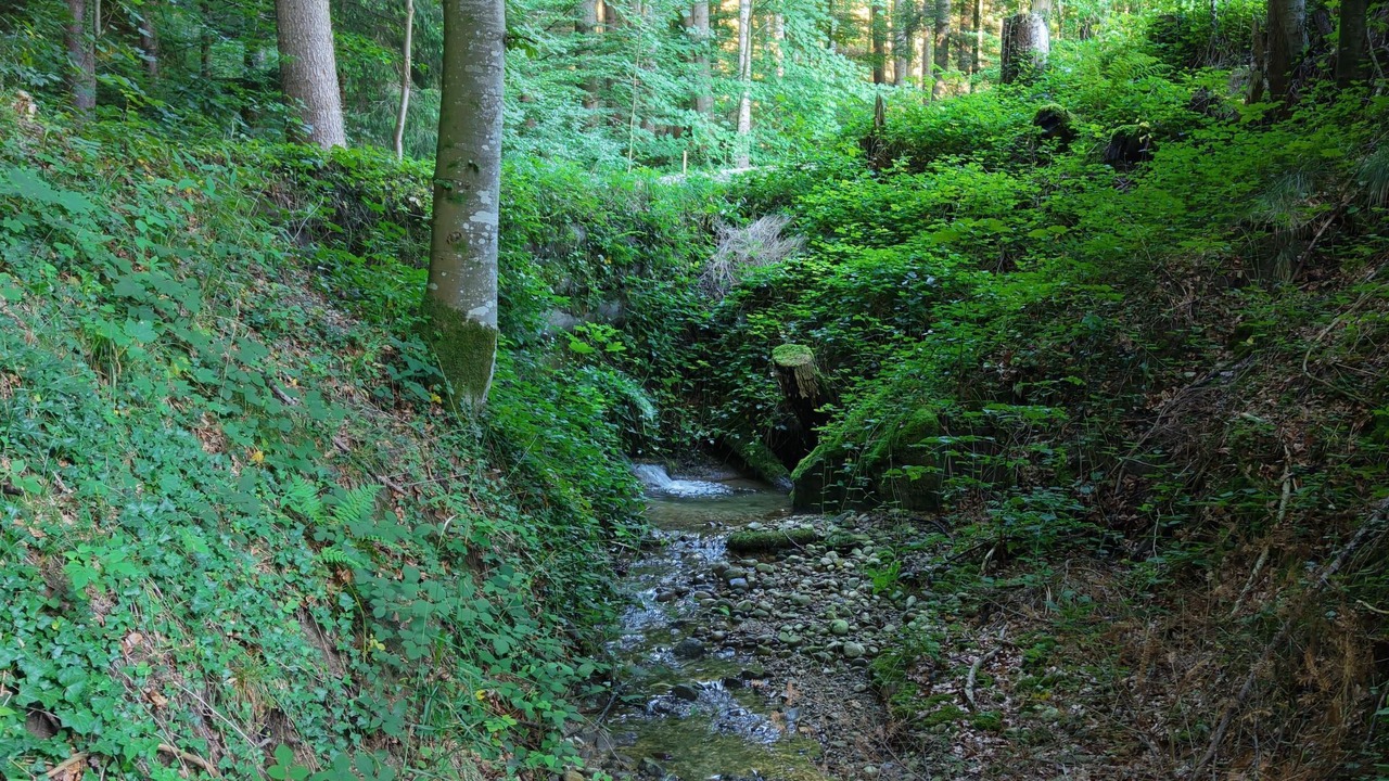 Photo of Others in Schwellbrunn