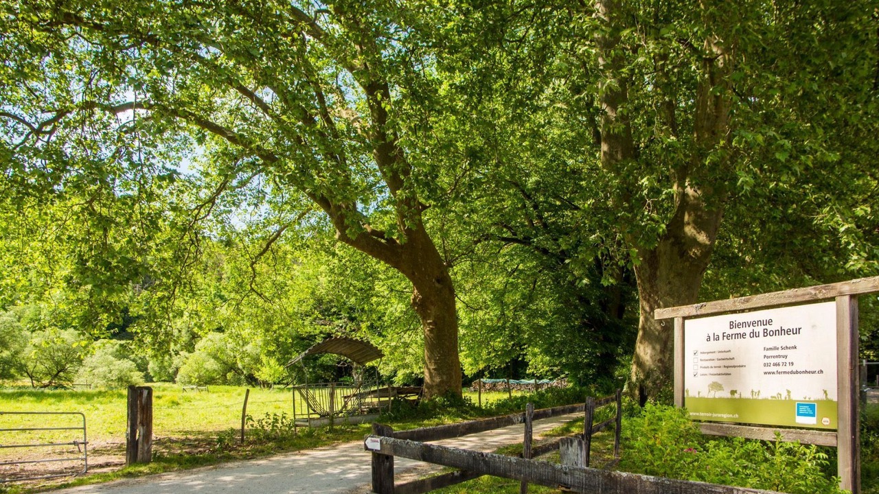 Photo of Outdoor in Porrentruy