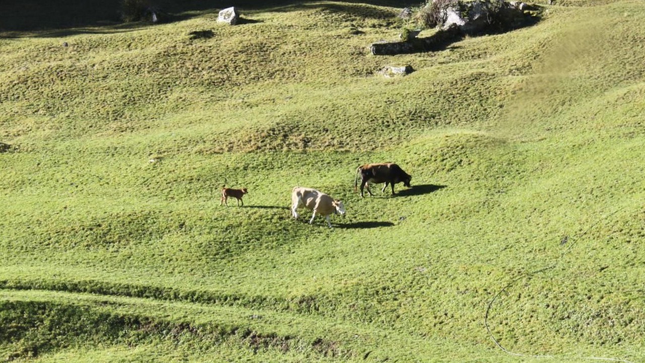Photo of Others in Poschiavo