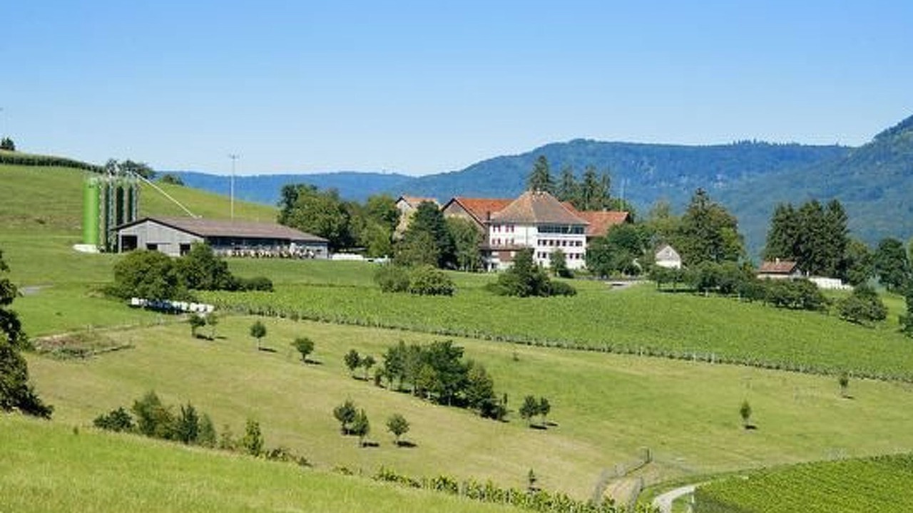 Photo of Others in Hallau