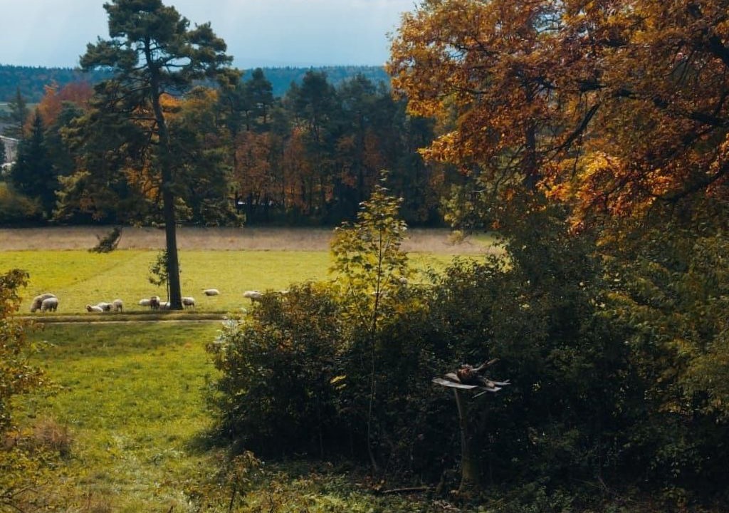 Photo of Others in Merishausen