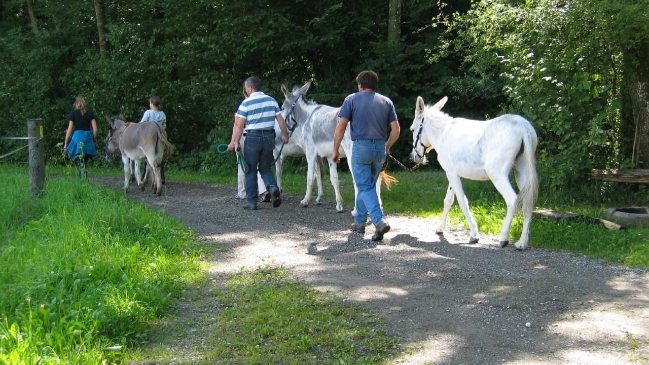 Photo of Others in Eschenz