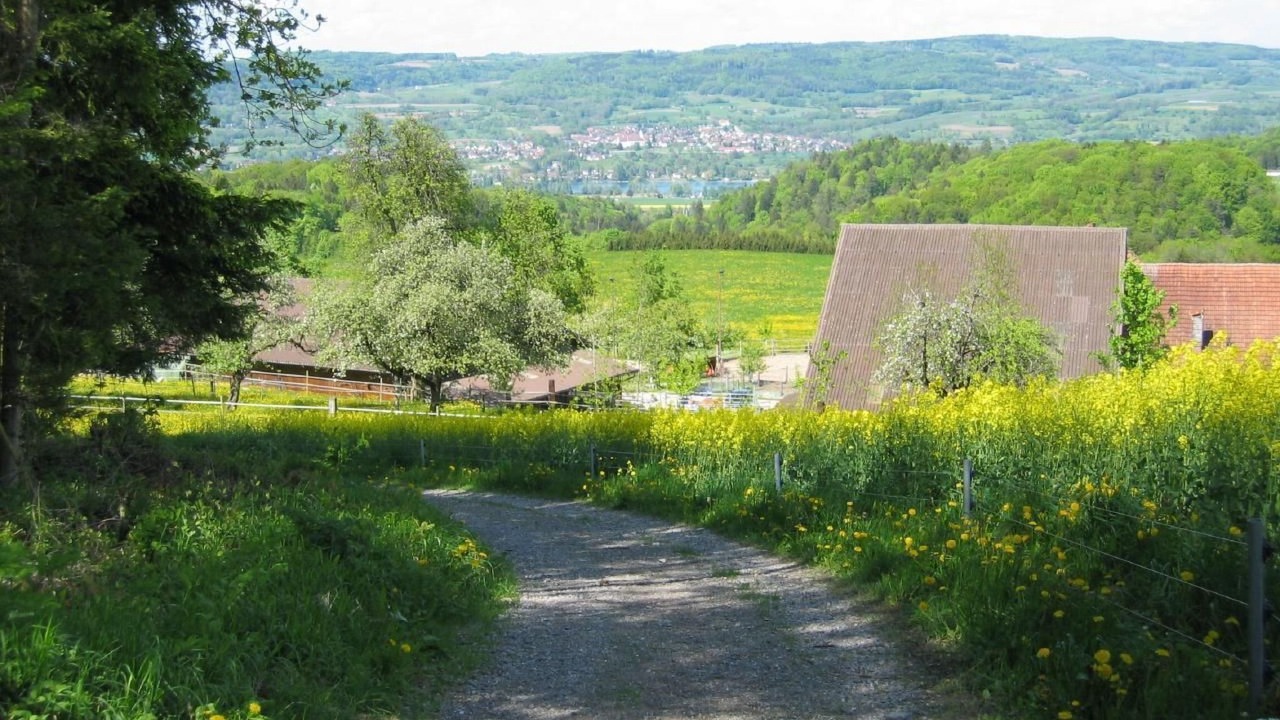 Photo of Others in Eschenz