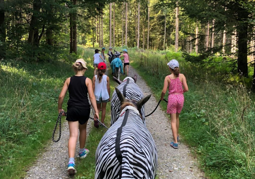 Photo of Others in Eschenz