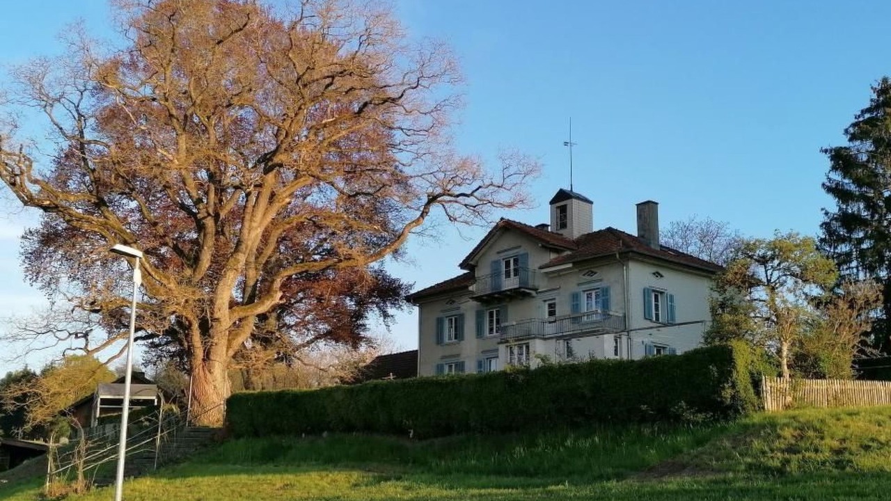 Photo of Outdoor in Bottighofen