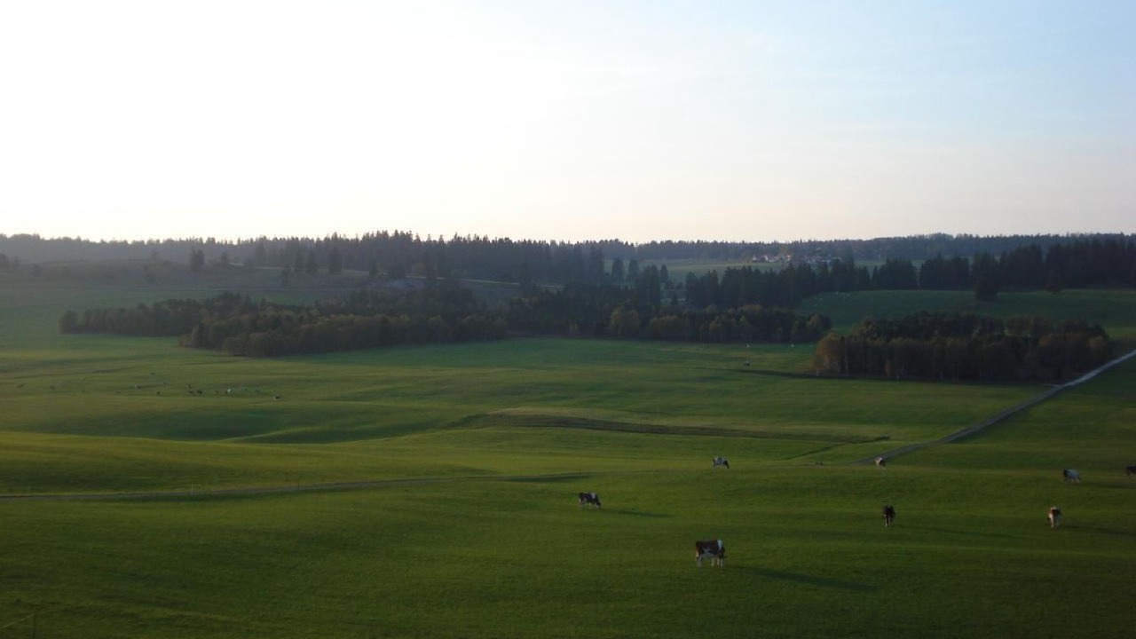 Photo of Others in La Chaux-du-Milieu