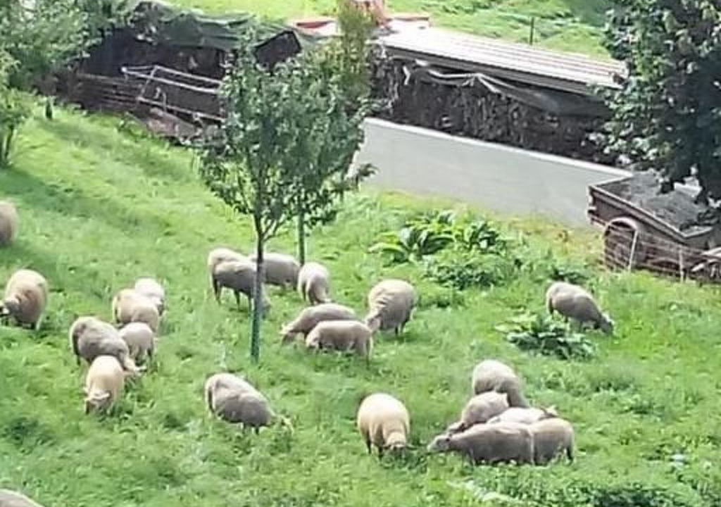 Photo of Others in Chardonne