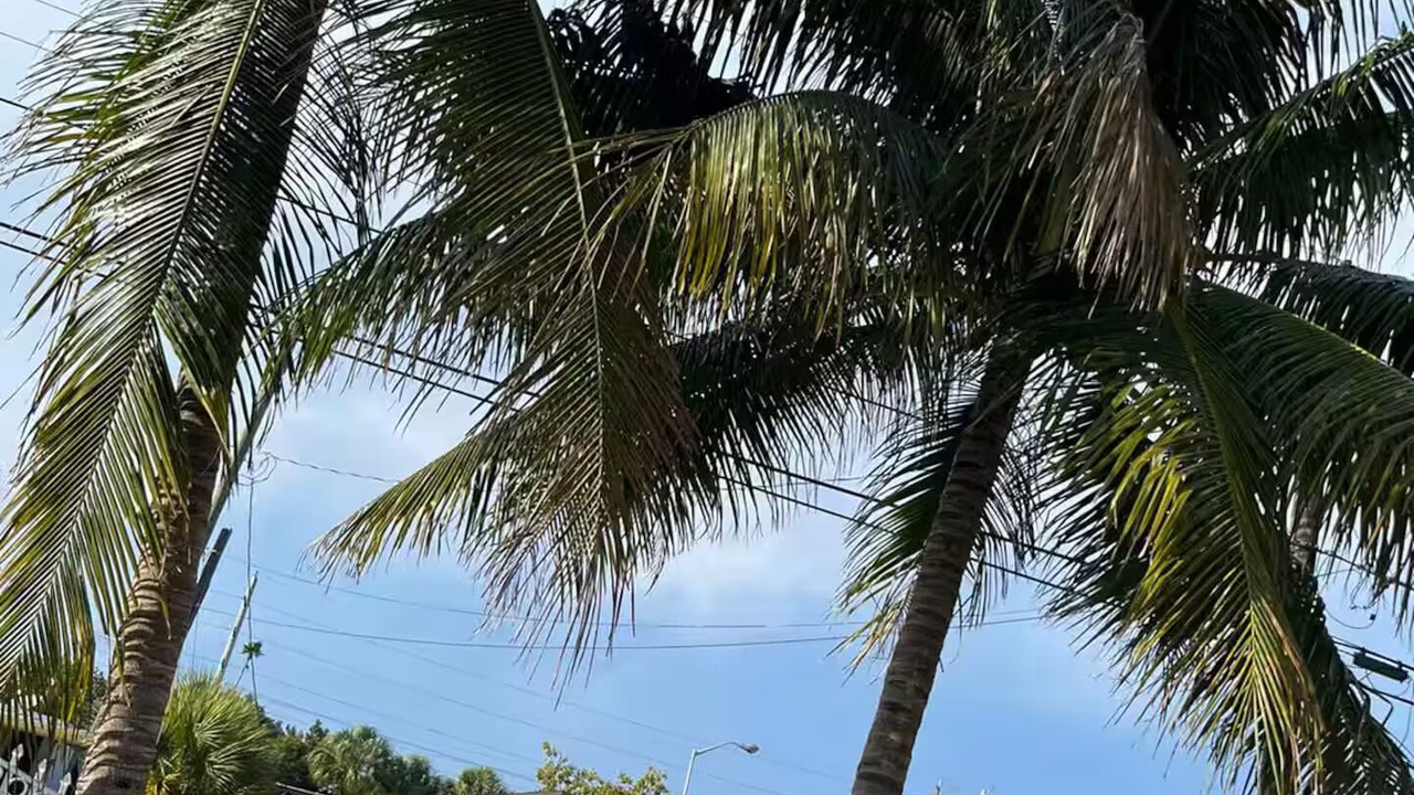 Photo of Outdoor in Seybold
