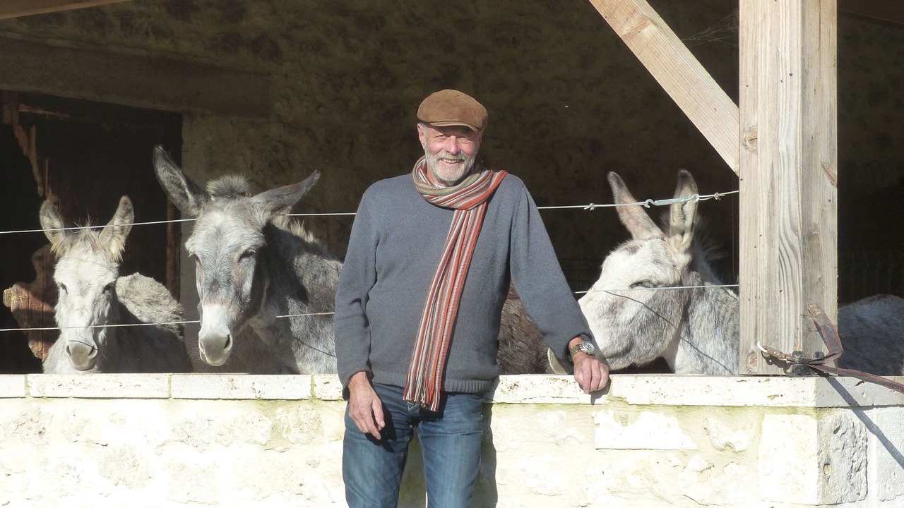 Photo of Others in Montagudet