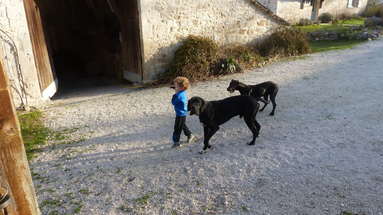 Photo of Others in Montagudet