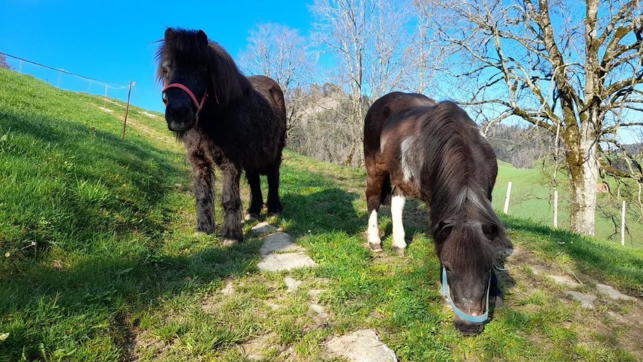 Photo of Others in Neckertal