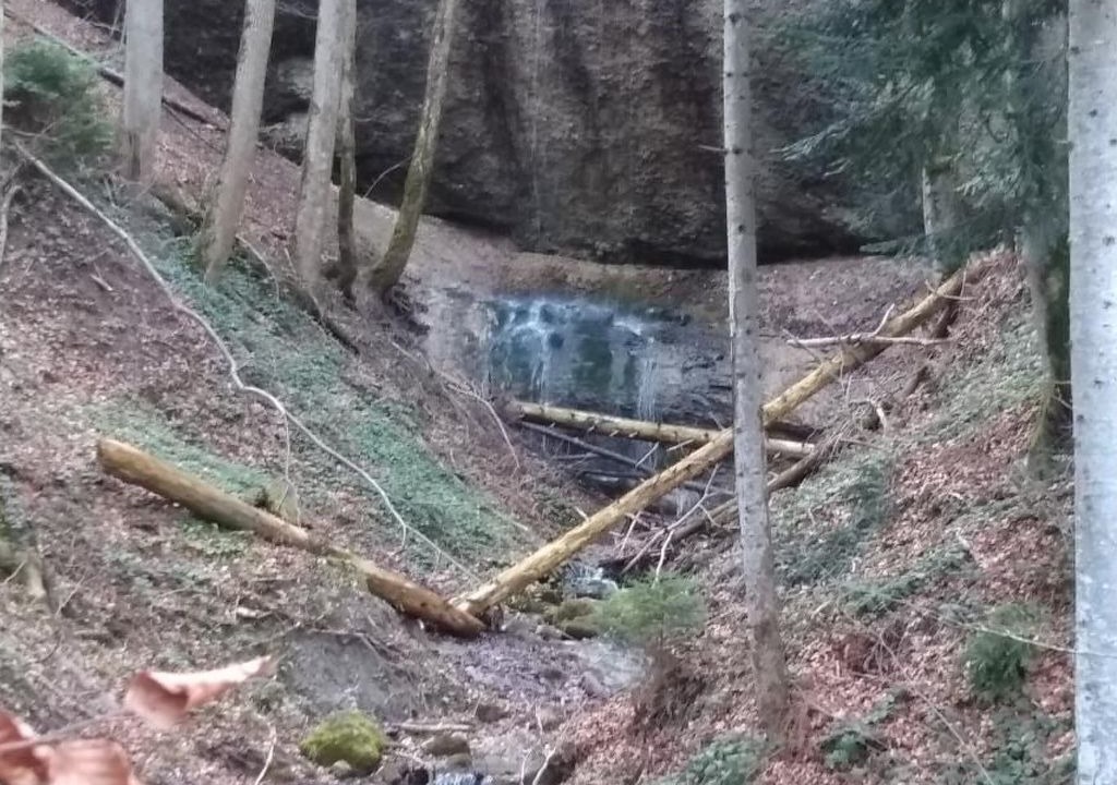 Photo of Others in Neckertal