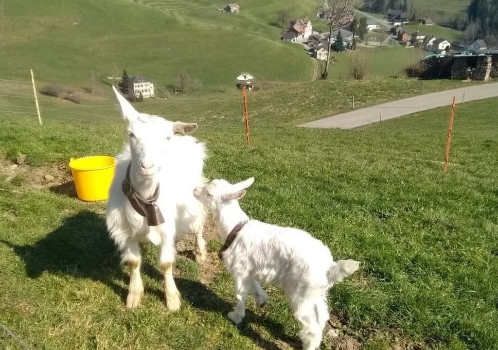 Photo of Others in Neckertal